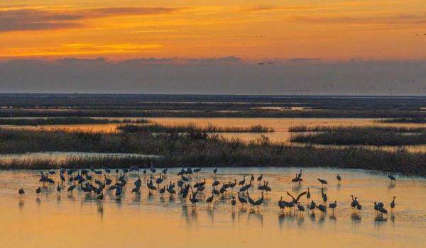 三角洲手游科技瞄准功能有效嘛(三角洲手游科技瞄准功能真的准吗?) 三角洲手游科技瞄准功能有效嘛(三角洲手游科技瞄准功能真的准吗?)
