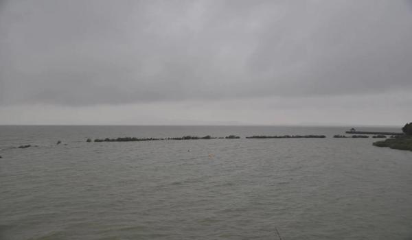 三角洲寻血猎犬科技器最新版下载（给我一个三角洲寻血猎犬科技器的下载链接）