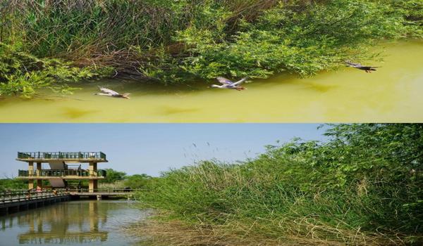 三角洲手游科技神器推荐(有没有三角洲手游最佳科技推荐?) 三角洲手游科技神器推荐(有没有三角洲手游最佳科技推荐?)